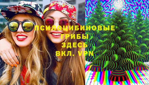прущая мука Армянск