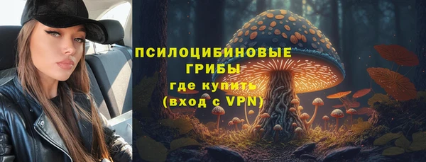 прущая мука Армянск