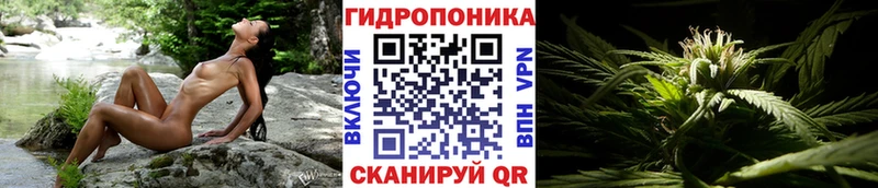 Марихуана OG Kush  Купить  Тихорецк 